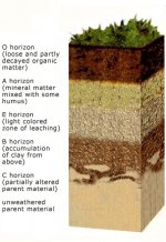 soil_horizons.uvm.jpg