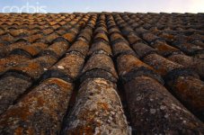 Tiled Rooftop in Dubrovnik.jpg
