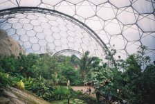 Eden_project_tropical_biome.jpg