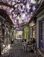Idyllic street scene in Molyvos, Lesbos Island, Greece..jpg