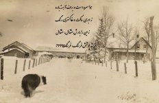 Krause Farm with Dog Looking North in Winter.jpg